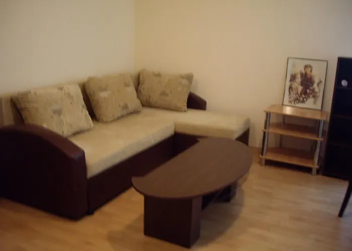 Apartament Private In Privilige *